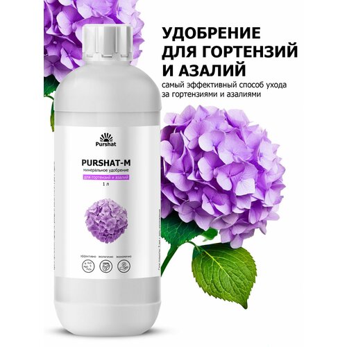 ���� ��������� ��� ���������, ������������� � ������ ������ (Purshat) 1 � ������ ������