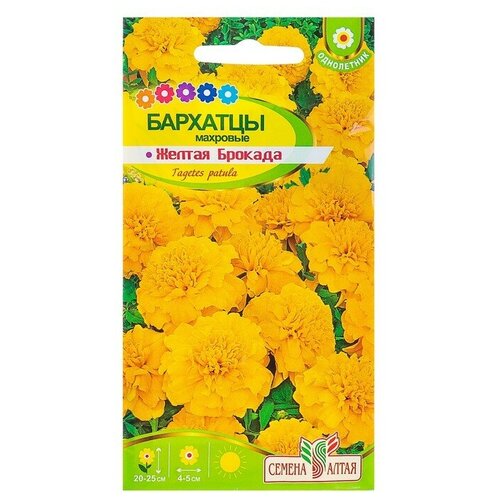 ���� ������ ������ �������� 