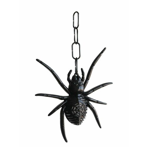 ���� ���� �� �������� ��������� / ��� ����, ���� ������ ������