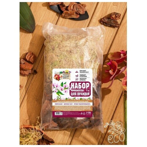 ���� ����� ����������� ��� ������� 