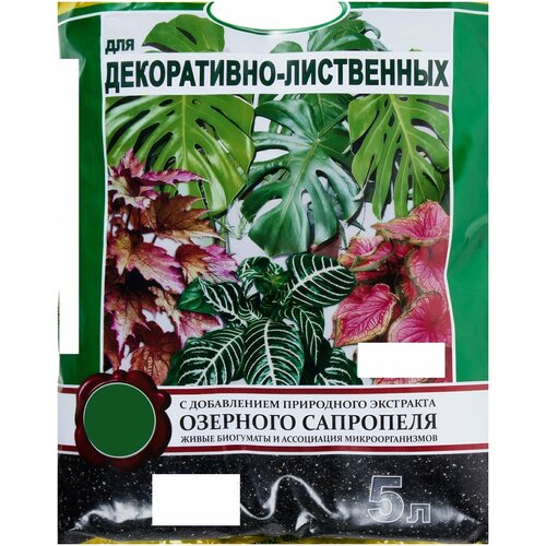 ���� ����� ��� �����������-���������� ��������, 5 �. ����������� ���������� � ��������������� ��� ������� � ������ �������� �� ���������� � �������� ������ ������