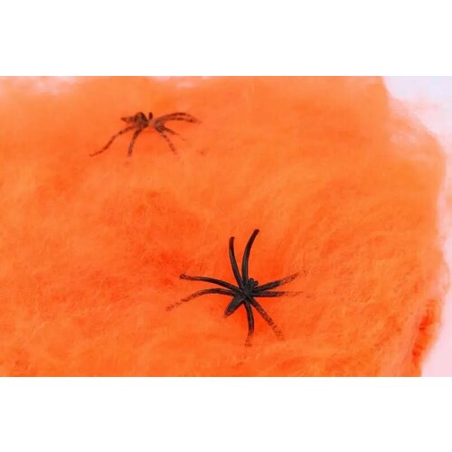 ���� ������� � ������� ��������� �� �������� ������ ������