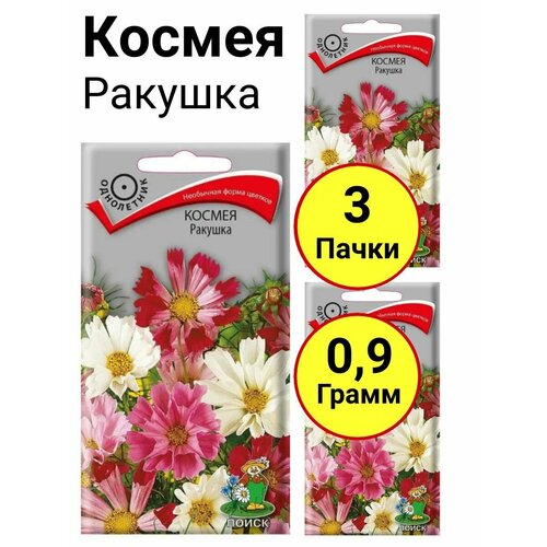 ���� ������ �������, 0,3 �����, ����� - 3 ����� ������ ������