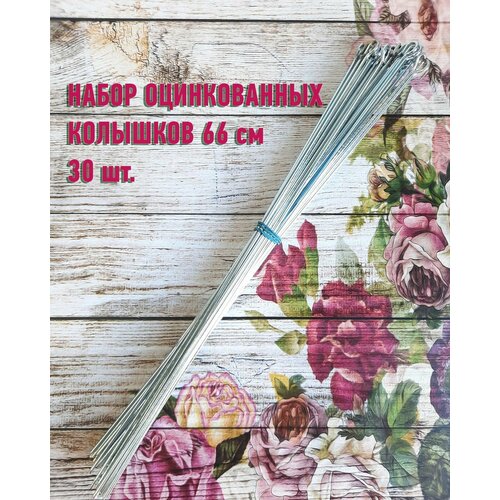 ���� ����� ��� �������� (�������) ������������ ����� 30 ���� 66 �� ������ ������