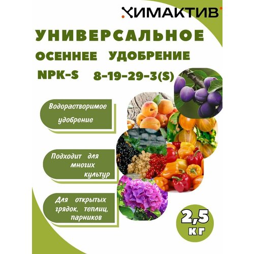    NPK 8-19-29-3(S) 2,5   -     , -, 