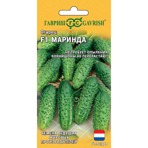 ���� ������ ������ ������� F1 �������� 5�� ��� ������ (������) ������ ������