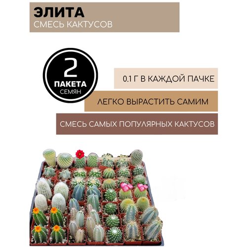 ���� ����� ������� ����� ����� 2 ������ �� 0,1� ����� ������ ������