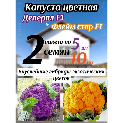     F1 5       F1 10  - 2    -     , -, 