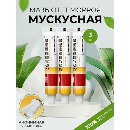 ���� ��������� ���� �� �������� 3 �������� ������ ������