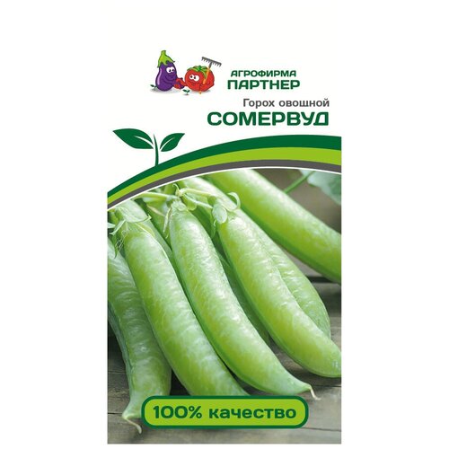 ���� ����� 