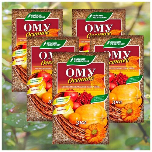 ���� ��������� ����������������� ������������� ������� ������� ��������� 15�� , 5 �������� * 3�� ������ ������