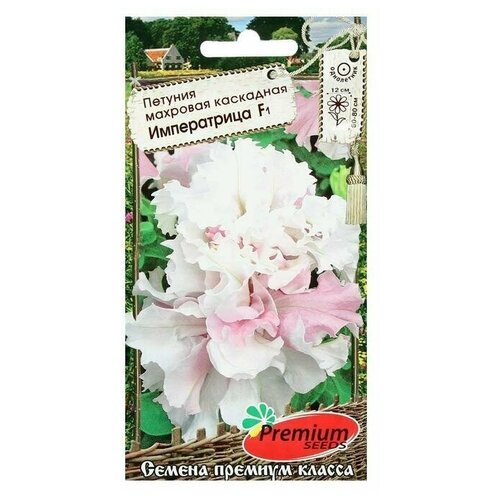 ���� ������ ������ ������� �������� ��������� �����������, F1, 10 �� ������ ������