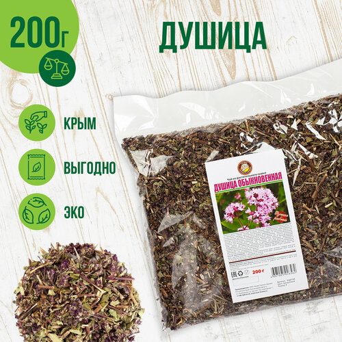 ���� ������ �������, 200� ������ ������