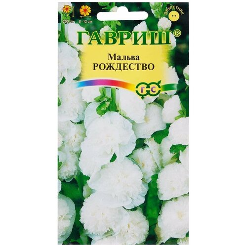 ���� ������ ������ ������ 