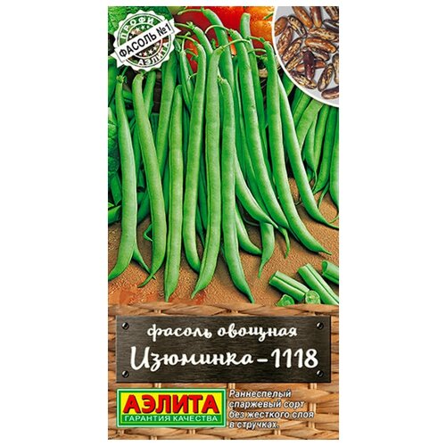 ���� ������. ������ ������� 