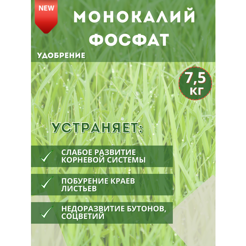 ���� ��������� ���������������, 7,5�� ������ ������