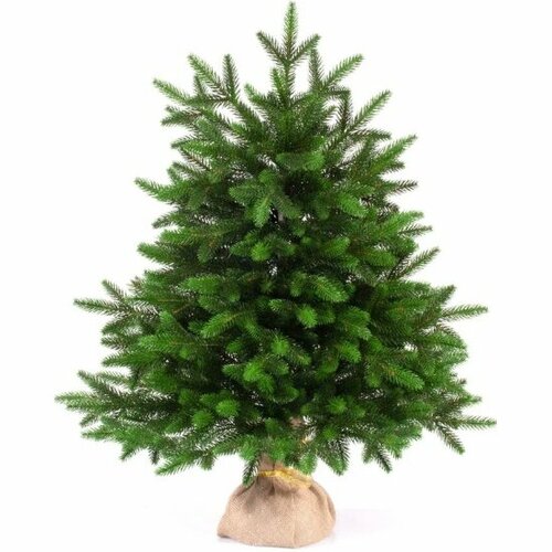 ���� ��� ������������� ���� ���� ����� 60 �� ������ ������