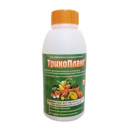 ���� ������� ���������� 0,5 � ������ ������