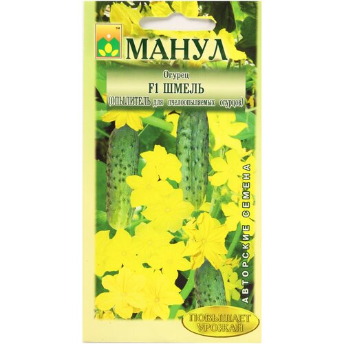 ���� ������ F1 ����� (���������) 10 �� ����� ������ ������