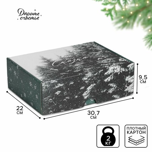 ���� ������� ���������� ������� ������, 30.7 � 22 � 9.5 ��, ����� ��� ������ ������