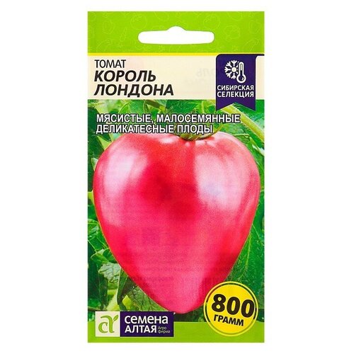 ���� ������ ����� 