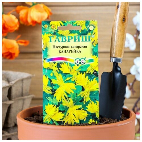 ���� ��������� ��������� ���������, 0,7 � ������ ������