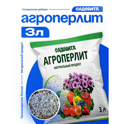 ���� ���������� ��������, �����������, ����������������, �����������������, 3 � ������ ������