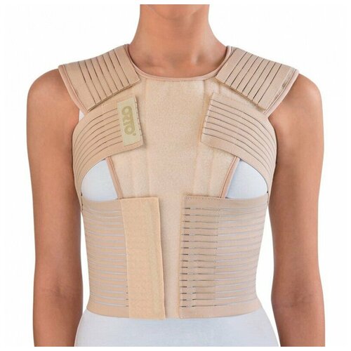 ���� ������ �� ������� ������ Orto �� 440 (S) ������ ������