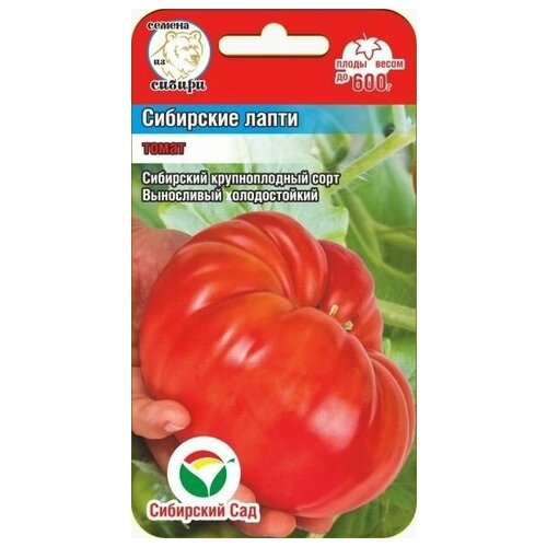 ���� ����� ��������� ����� ������ ������