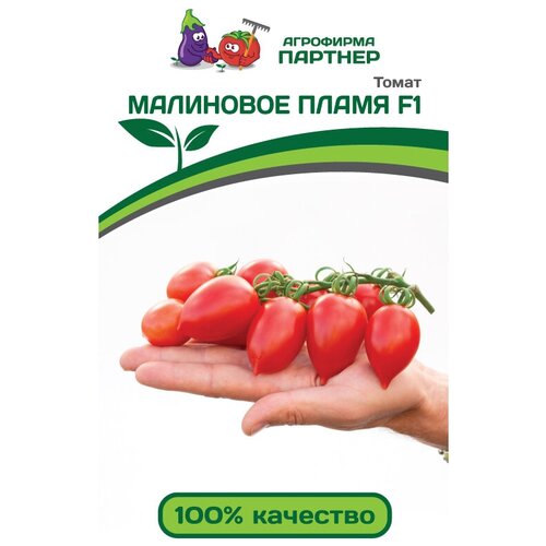 ���� ������ ����� ��������� ����� F1 (10���) ������ ������