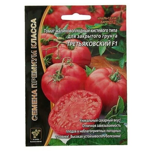 ���� ������ ����� 