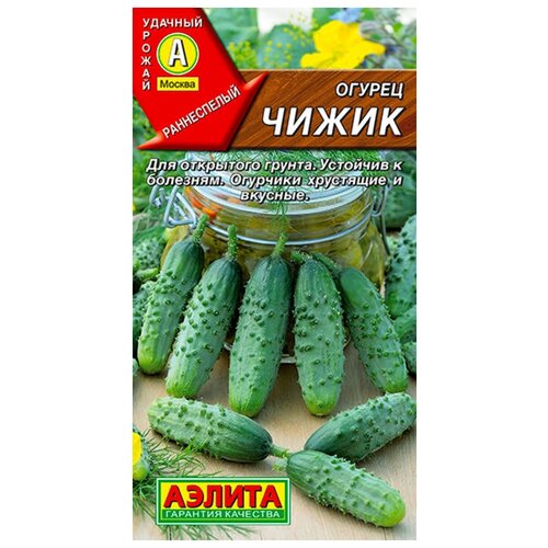 ���� ������. ������ 