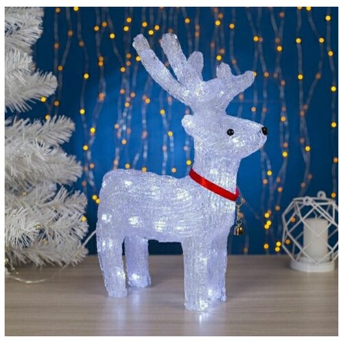 ���� ����� ������������ ���������� 40�� ������ ������