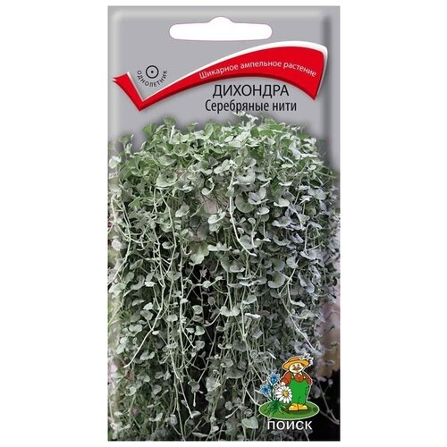 ���� ������ �������� ���������� ���� ������ ������