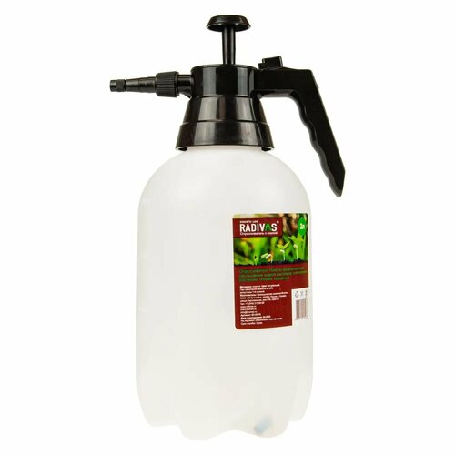 ���� ����������� 