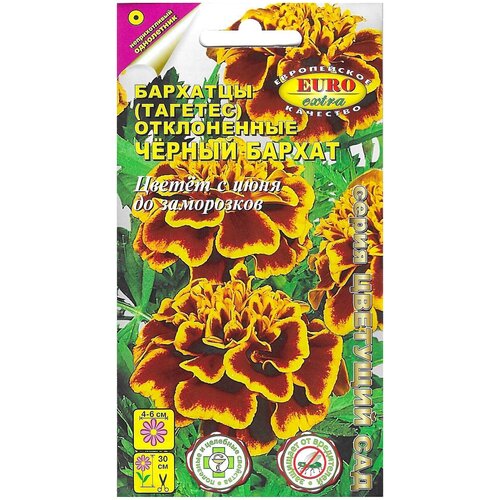 ���� ������. �������� 