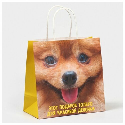 ���� ����� ���������� ����������, 22 � 22 � 11 �� ������ ������