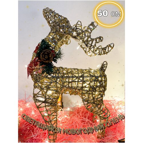 ���� ��������� ���������� 