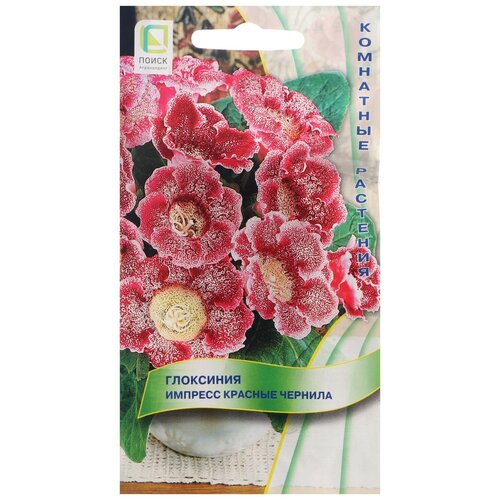 ���� ������ ����� ��������� ������� ������� ������� 5 ��. ������ ������