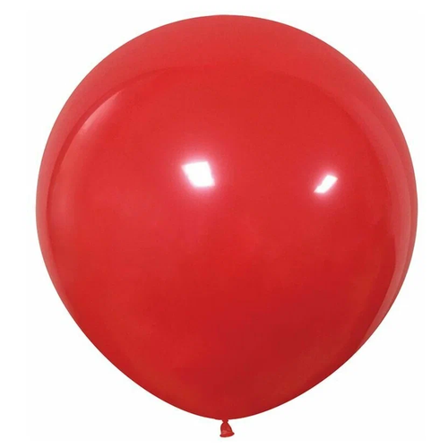 ���� ����� ��������� XXL ��������, ������� 100 �� ������ ������