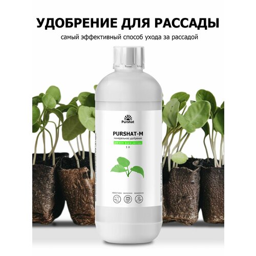 ���� ����������� ��������� ��� �������, ��� ���� ����� ������ ������ (Purshat) ���������� 1 � ������ ������