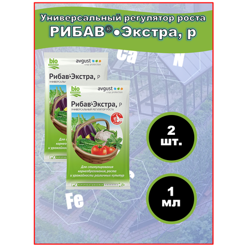 ���� ��������� ��������� ����� � ����������������� �����-������ 1 ��, 2 �� ������ ������