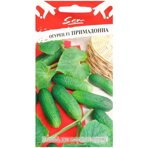 ���� ������ ������� ������ ������ ���������� F1 10 �� ������ ������