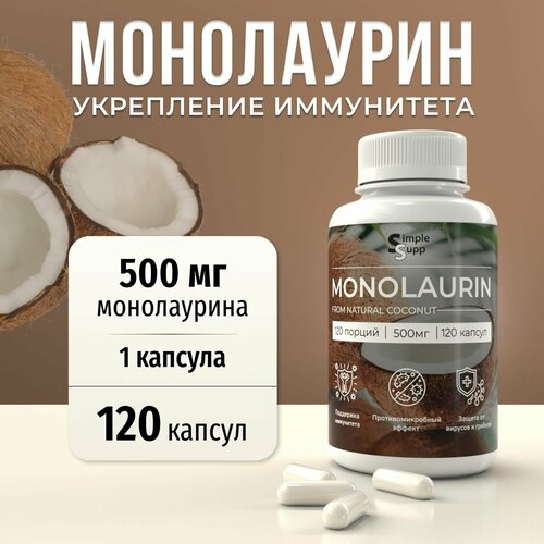 ���� ���������� 500 ��, 120 ������ ������ ������