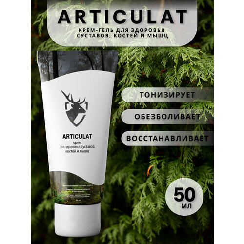 ���� ����������������� ��������������������� ���������, 1 �� ������ ������