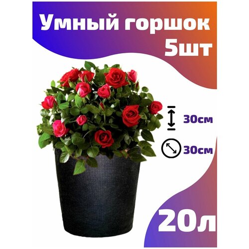     , ,  Smart Pot - 20  5 .   -     , -, 