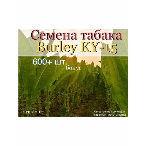    Burley KY-15   -     , -, 