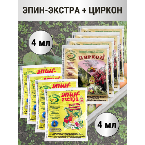 ���� ����-������ 1 �� + ������ � ������������� 1 ��, �������� 4+4 ������ ������