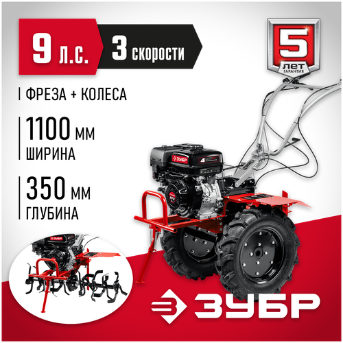 ���� ���� 9 �. �, �������� � ��� (���-600) ������ ������