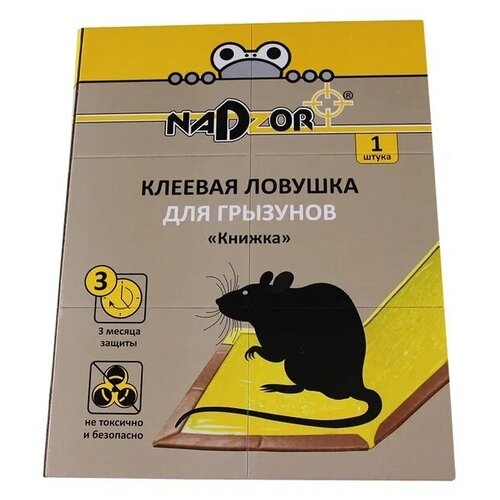      , 1 . Nadzor   -     , -, 